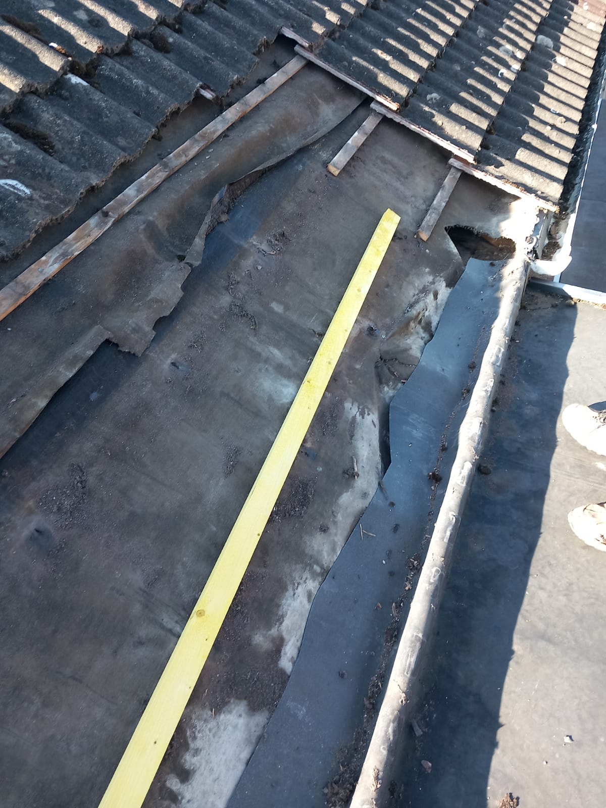 Homestead Roofing Project 30