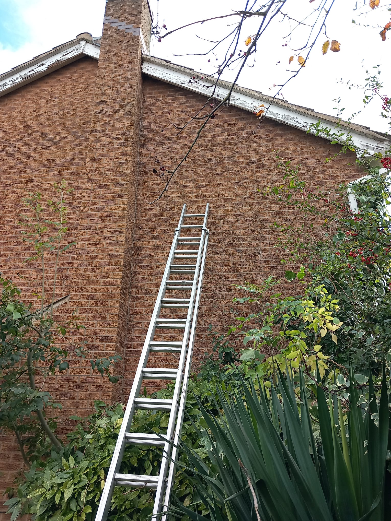 Homestead Roofing Project 51