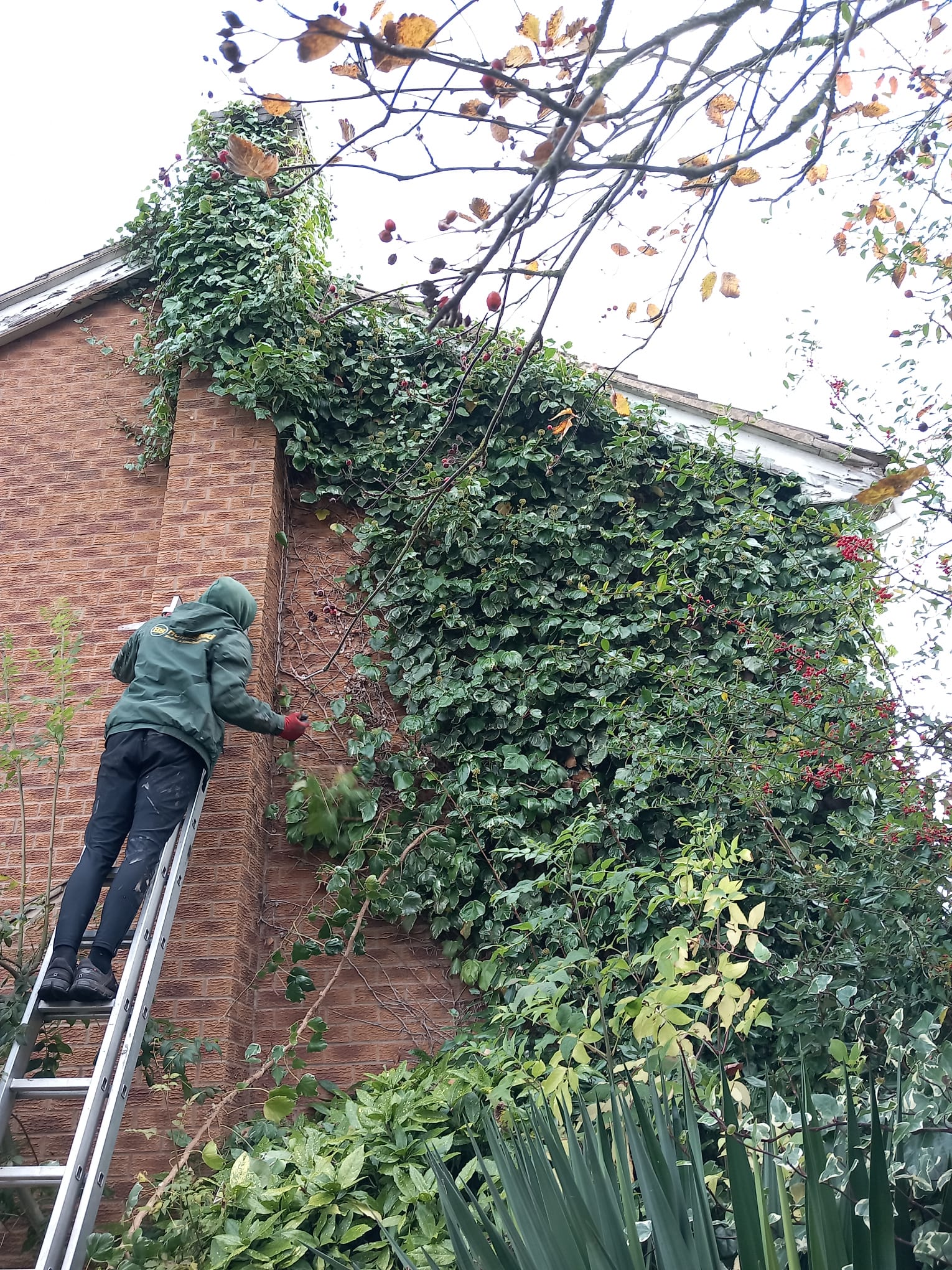 Homestead Roofing Project 56