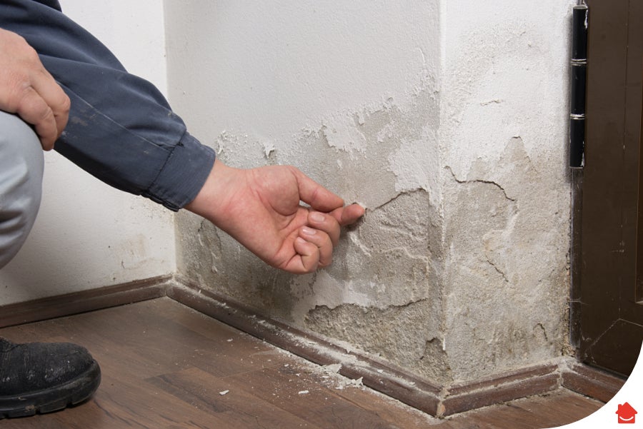 Damp Proofing