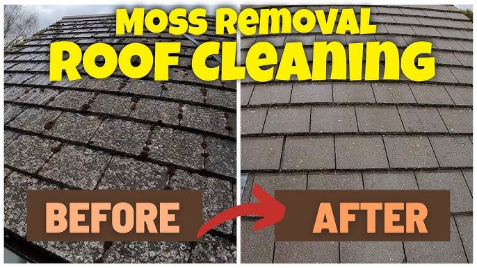 Roof Cleaning & Moss Removal