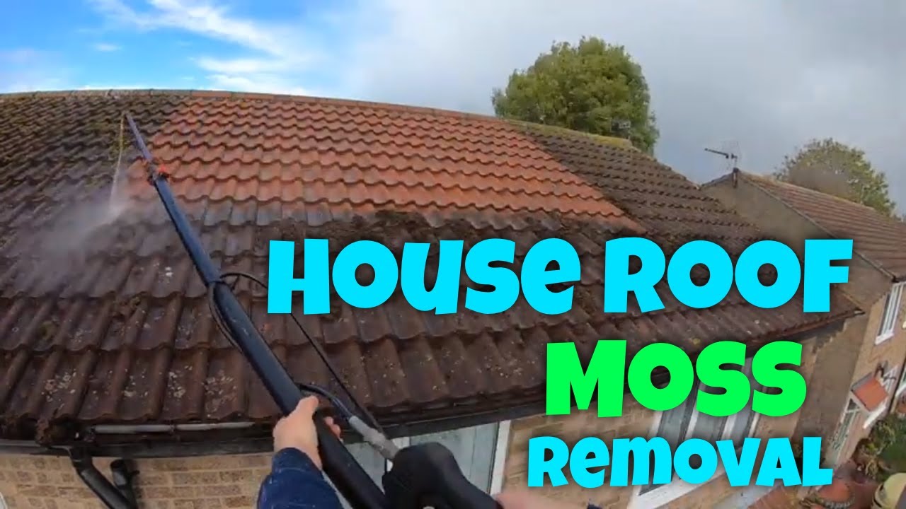 Roof Cleaning & Moss Removal - Image 2