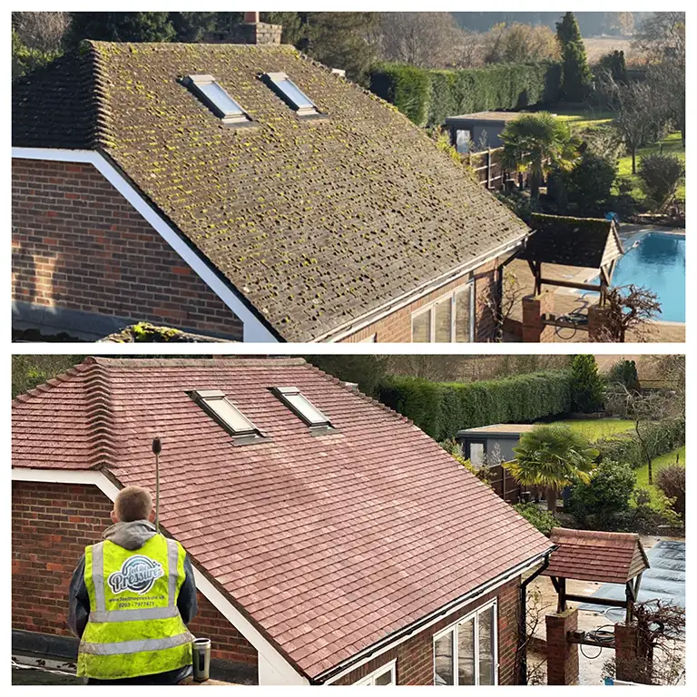 Roof Cleaning & Moss Removal - Image 5