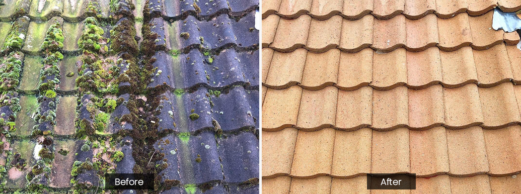 Roof Cleaning & Moss Removal - Image 6
