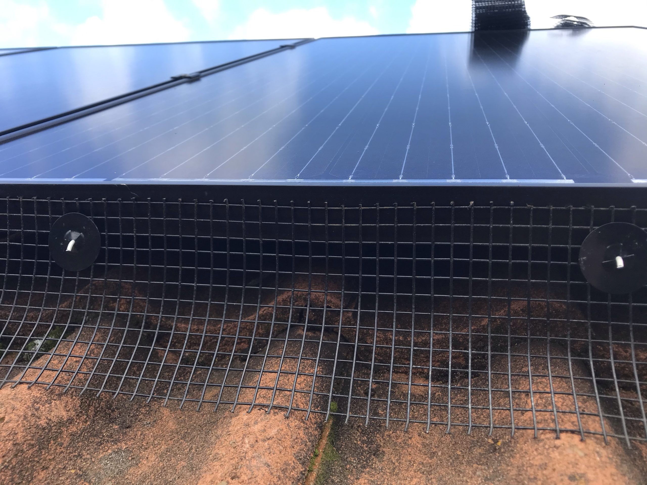 Solar Panel Pigeon Guard - Image 2