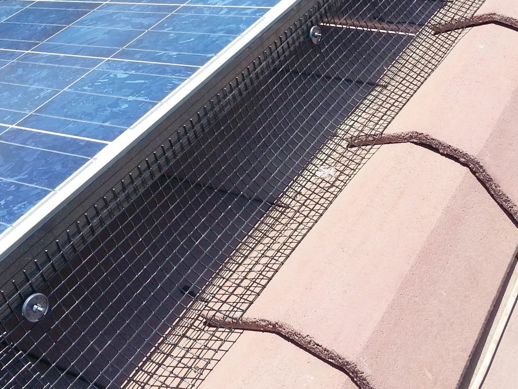 Solar Panel Pigeon Guard - Image 3