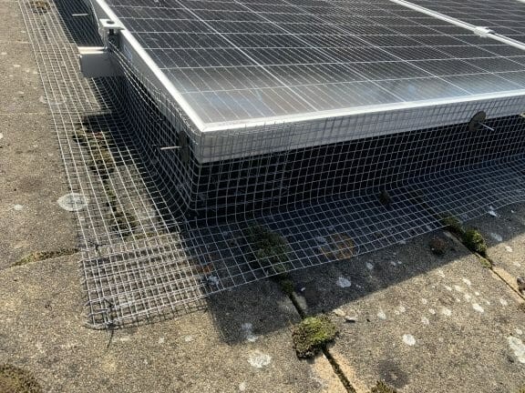 Solar Panel Pigeon Guard - Image 4