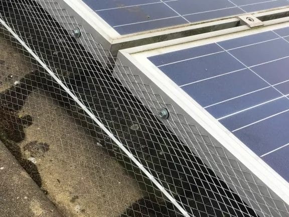 Solar Panel Pigeon Guard - Image 5