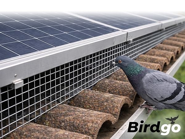 Solar Panel Pigeon Guard - Image 6